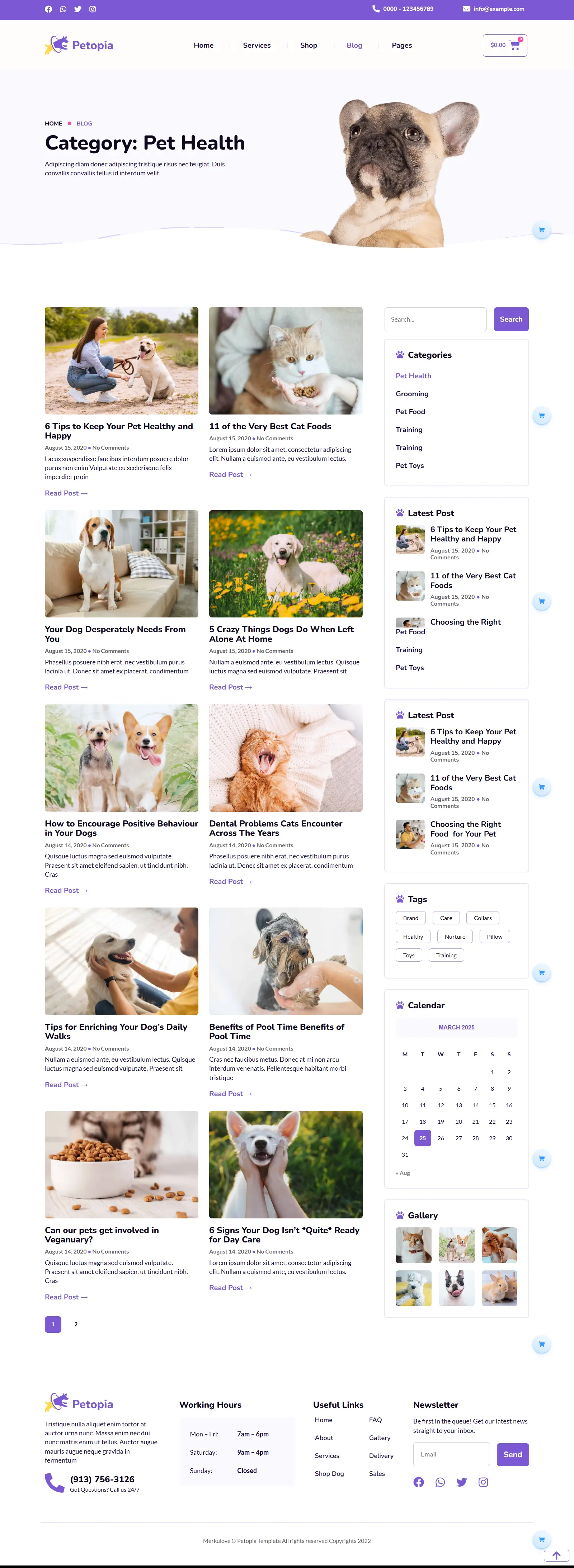 Pet Care Blog Website - The Custom Websites