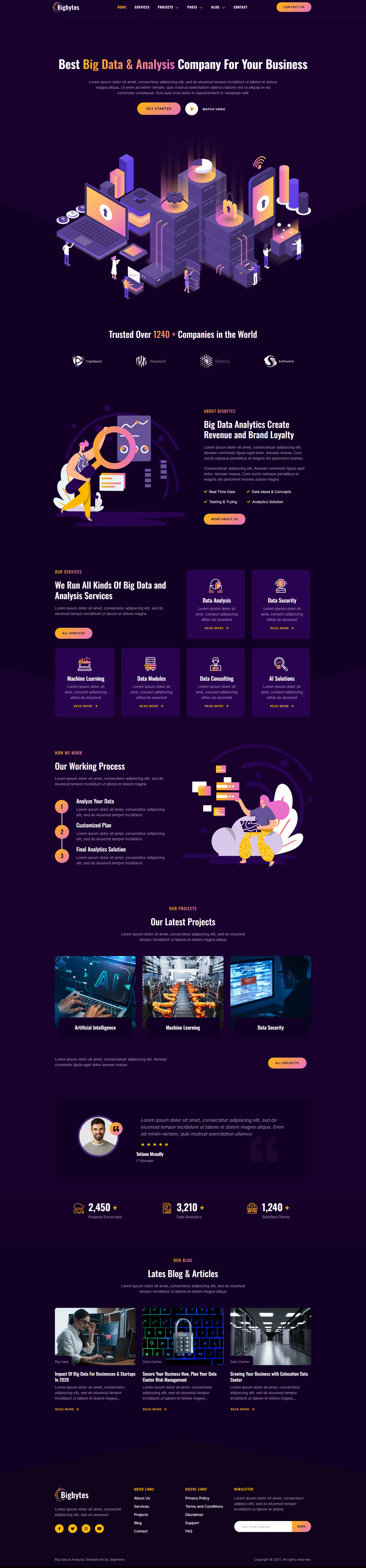 Data Analysis Service Website - The Custom Websites